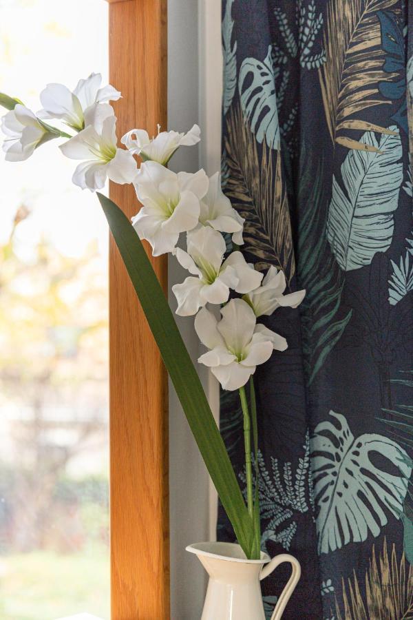 Apartament Escale De L'Yvette - 50M2 Cosy, Balcony & Parking Longjumeau Zewnętrze zdjęcie